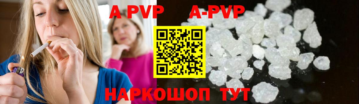 A PVP СК Норильск