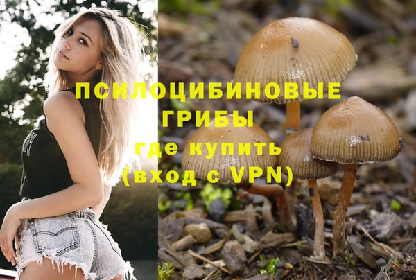 а пвп мука Новодвинск