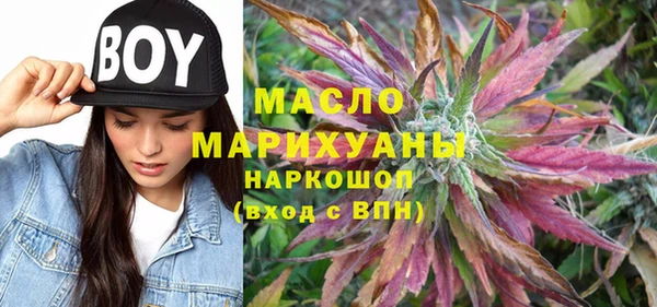 индика Болохово