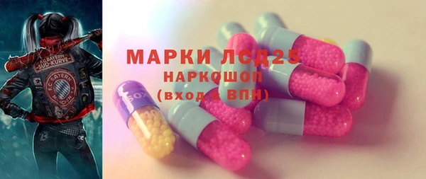 индика Болохово