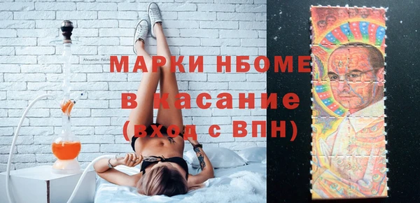 дмт Болотное