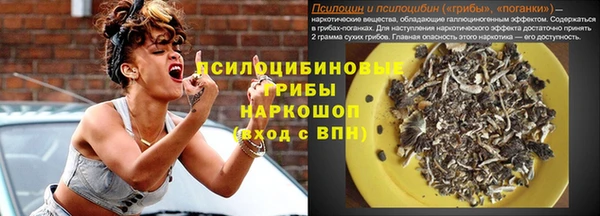 гашик Новокубанск