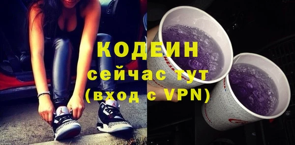индика Болохово