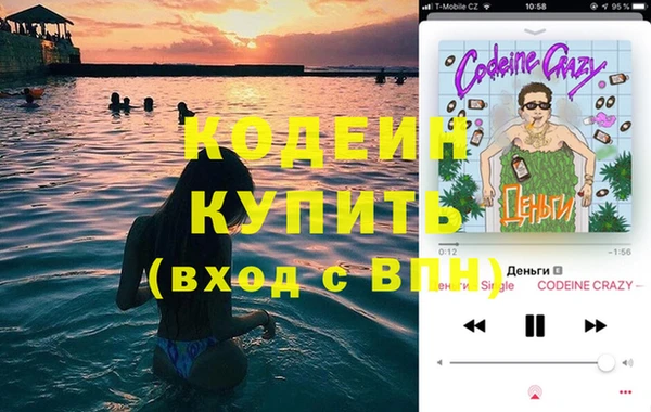 дмт Болотное