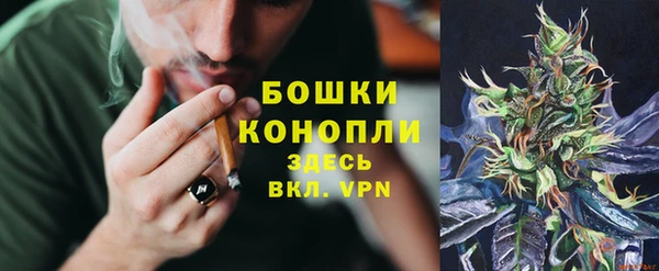 мдма Новозыбков