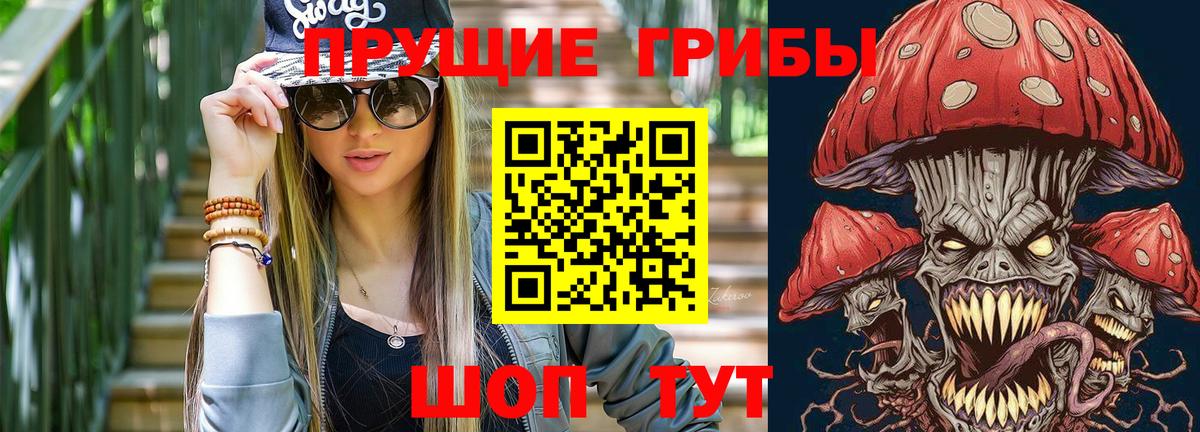 Псилоцибиновые грибы Psilocybe  Вход с VPN  Норильск 