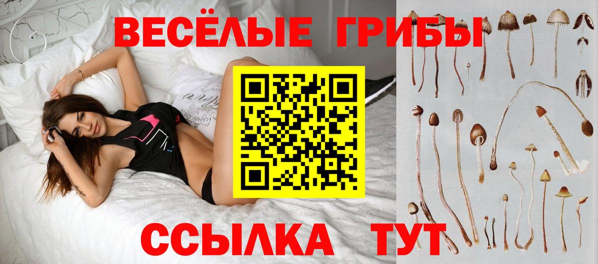 Галлюциногенные грибы Cubensis  Галлюциногенные грибы MAGIC MUSHROOMS  Норильск 